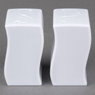 Disposable Salt and Pepper Shakers