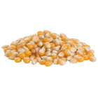 Popcorn Kernels