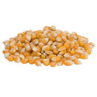 Popcorn Kernels