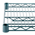 Regency Space Solutions NSF Epoxy Green Wire Shelving and Posts
