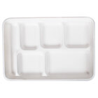 Green, Biodegradable Food Trays