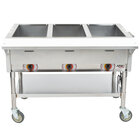 APW Wyott Electric Steam Tables