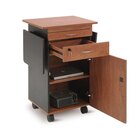 Presentation Equipment Carts