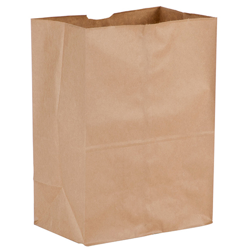 use paper bags essay