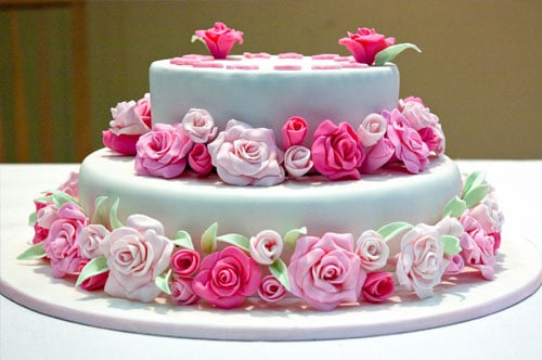 different types of cake pans types of cake baking pans different types of cake pans types of cake baking pans